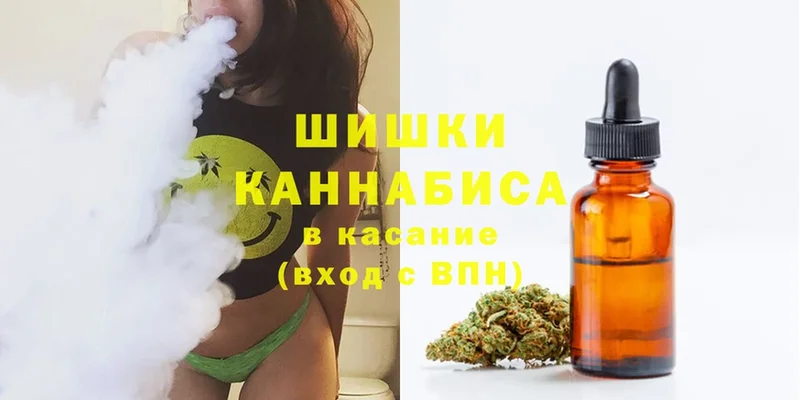 mega ССЫЛКА  Зеленодольск  Шишки марихуана SATIVA & INDICA 